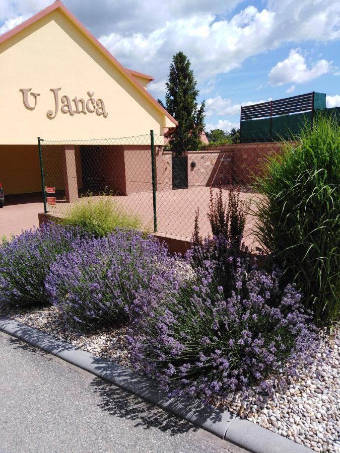 Ubytovani U Janca Lednice Exterior foto