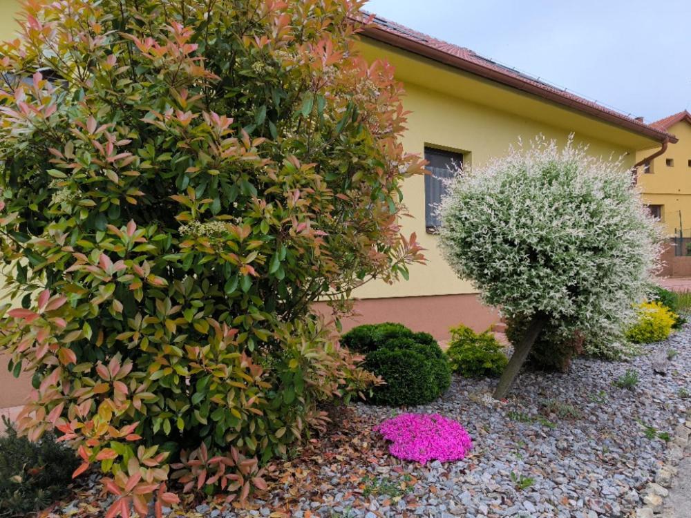 Ubytovani U Janca Lednice Exterior foto